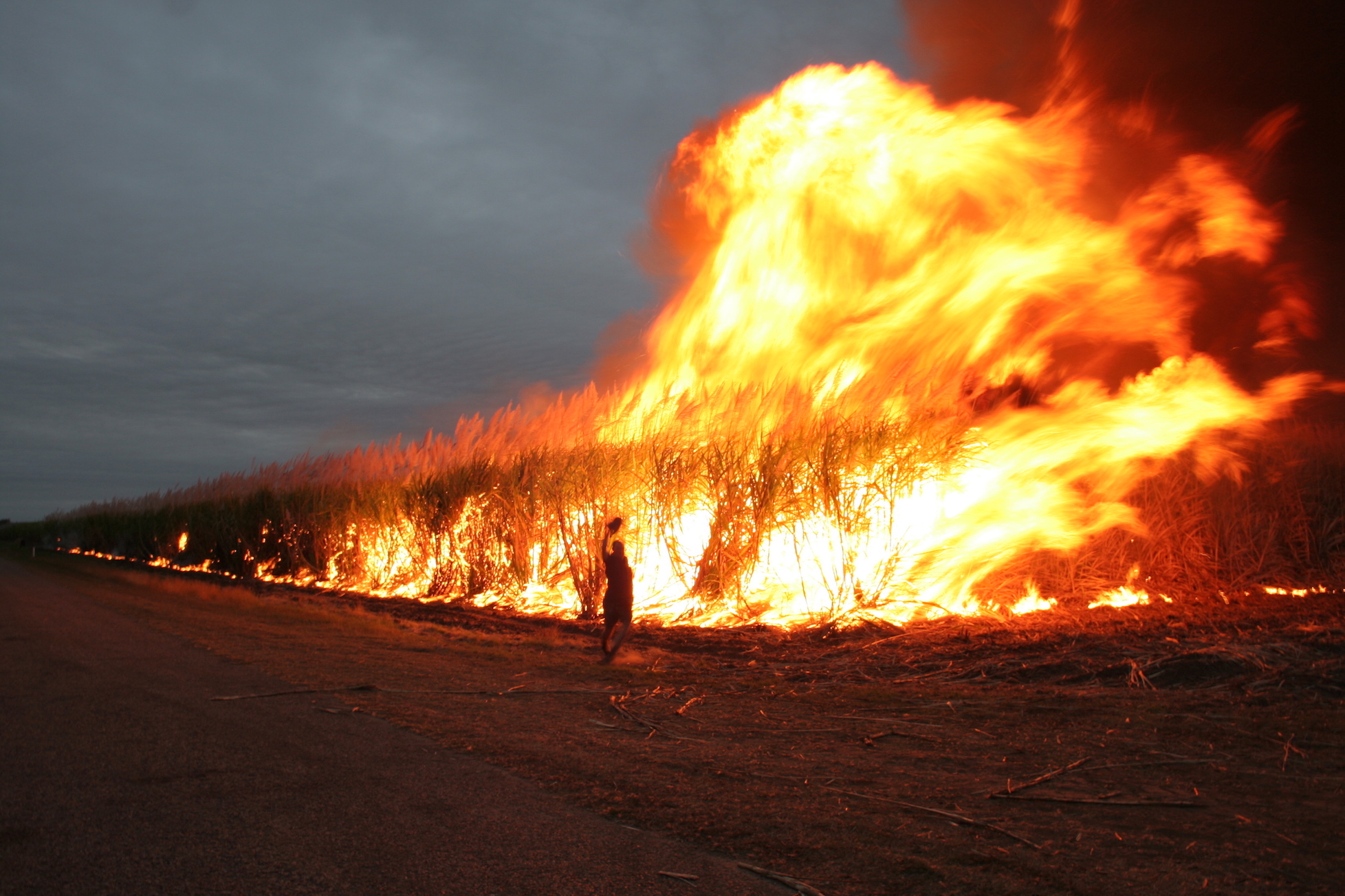 Incendies En Australie Lhospitalier John Murphy Lordre