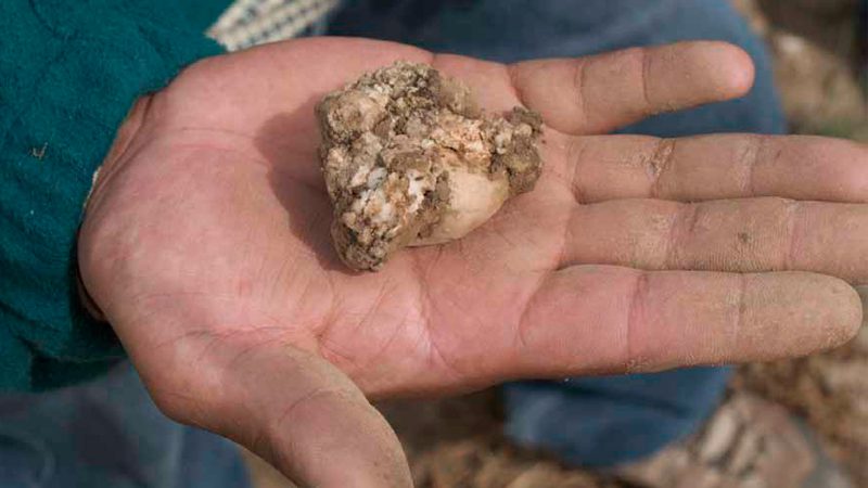 Lutter contre la faim et la pauvreté, à une altitude moyenne de 4 000 mètres