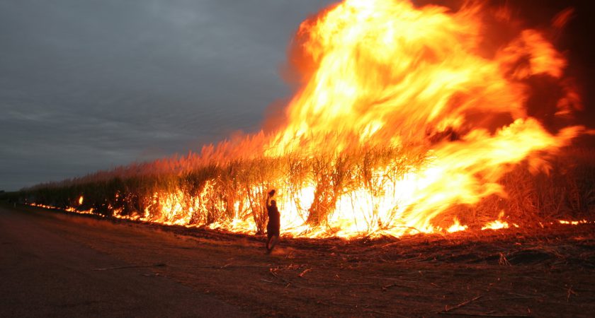 Incendios en Australia: «la Orden de Malta acude en auxilio de la población»