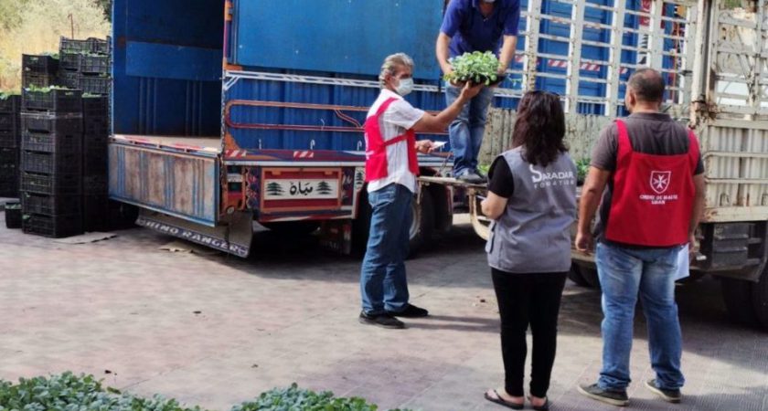 Der Malteserorden im Libanon lanciert das agro-humanitäre Projekt „Gesund, wir wachsen“.