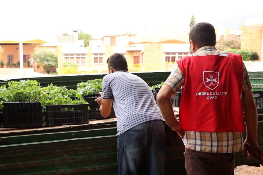 L’Ordine di Malta in Libano lancia il progetto agro-umanitario “Healthy, We Grow”