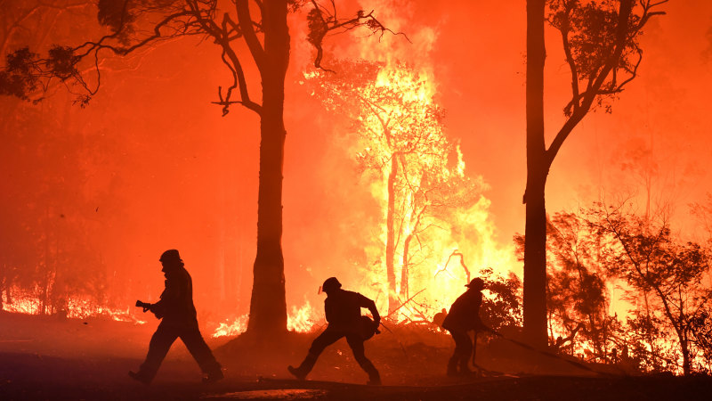 Appell des Malteserordens in Australien zu den Buschbränden.