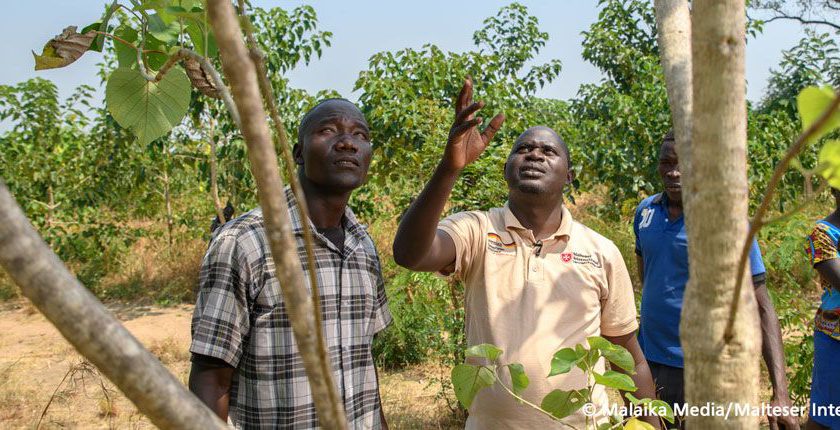 Bäume für Uganda, ein Wiederaufforstungsprojekt für eine ökologisch nachhaltige Zukunft