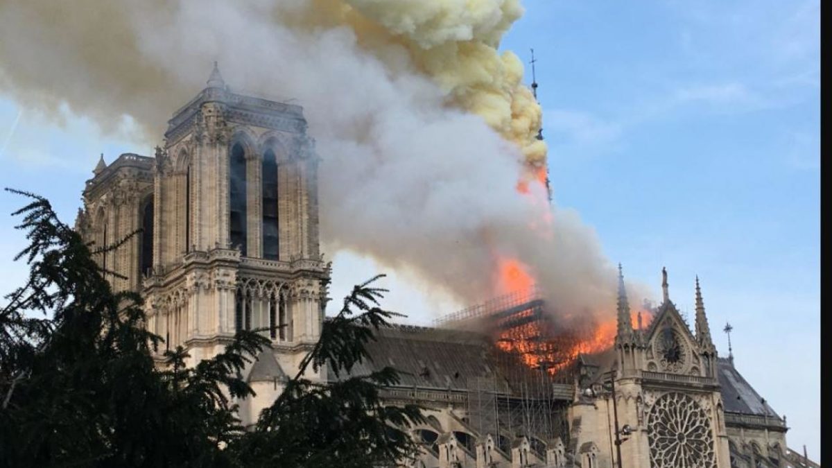 Notre Dame, Botschaft des Großmeisters an Präsident Macron
