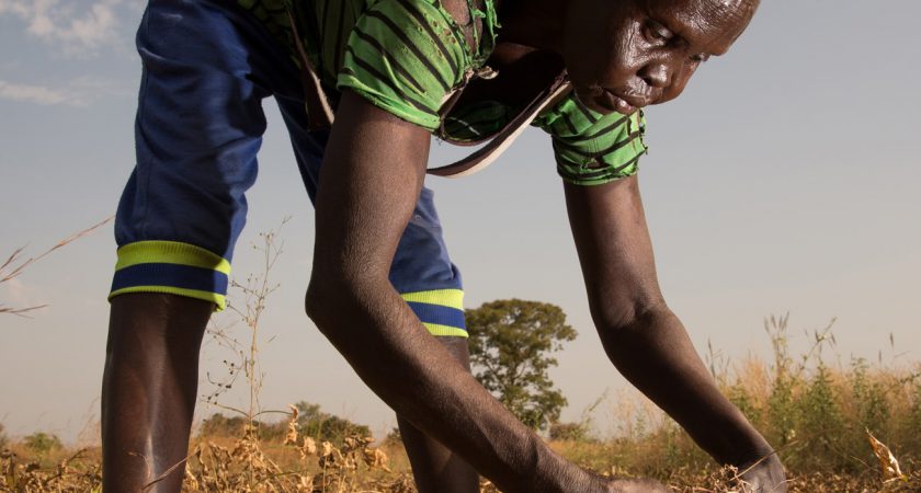 Il Sud Sudan alle prese con la peggiore crisi alimentare dalla sua nascita, 10 anni fa