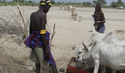 Lucha contra la sequía en África oriental, un proyecto para prevenir las crisis recurrentes